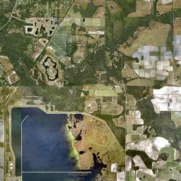 Willow Florida Satellite Map