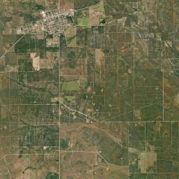 Benavides Satellite Map