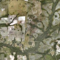 Bethany Florida Satellite Map