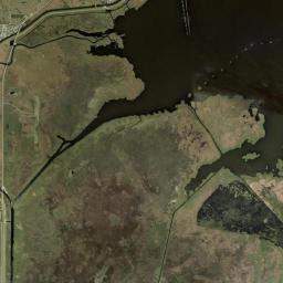 Monkey Box Florida Satellite Map