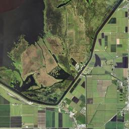 Dahlberg Florida Satellite Map