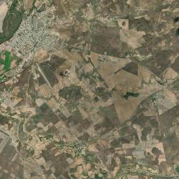 El Fuerte Satellite Map