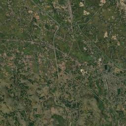 Forbesganj Satellite Map