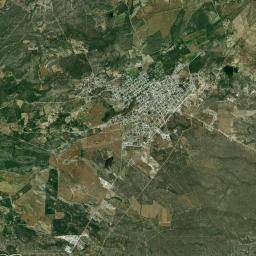 Alfonso Reyes Satellite Map