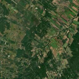 El Nogalito Satellite Map