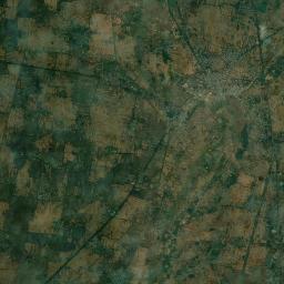 Bikramganj Satellite Map