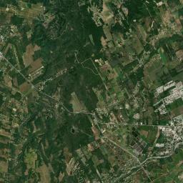 El Bosque Satellite Map