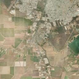 El Diez Satellite Map