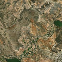Miguel Auza Satellite Map