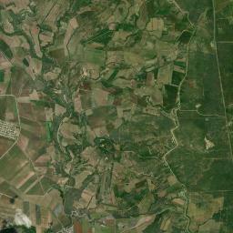 Nicolás Bravo Satellite Map