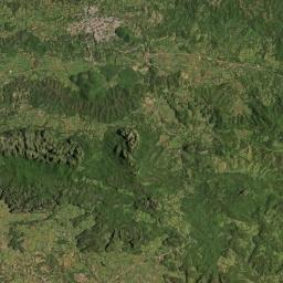 Municipio de La Palma Satellite Map