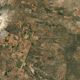 El Tule Satellite Map