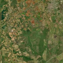 Los Palacios Satellite Map