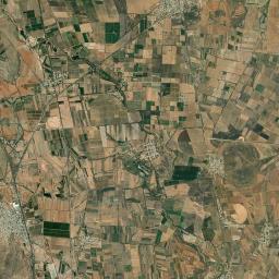 Cosío Satellite Map