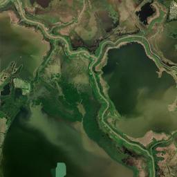 Tampico Satellite Map