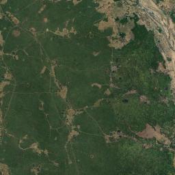 Janjgir-Champa Satellite Map