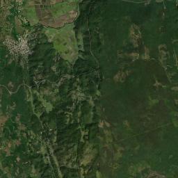 Tamasopo Satellite Map