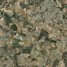 Encarnación de Díaz Satellite Map