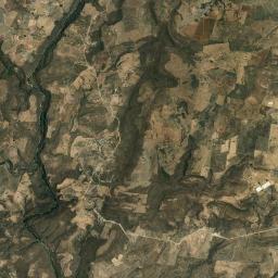 El Zapote Satellite Map