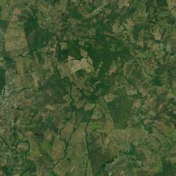 Potrero del Llano Satellite Map