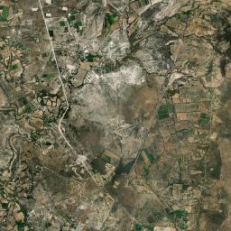 Palo Colorado Satellite Map