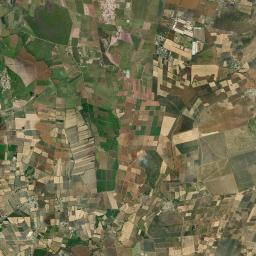 Ciénega del Pastor Satellite Map