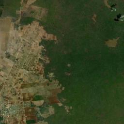 Los Laureles Satellite Map