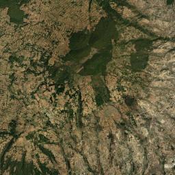 Palos Amarillos (Palos Amarillos Yebuciví) Satellite Map