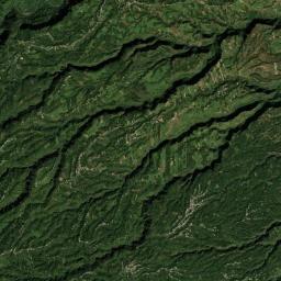 Tenampa Satellite Map