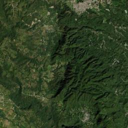 Presidio Satellite Map