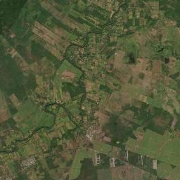 Ejidal Satellite Map