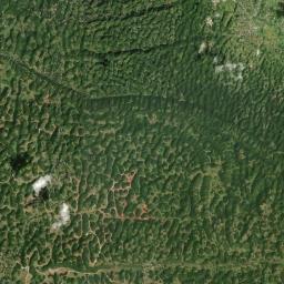 Bamboo Satellite Map