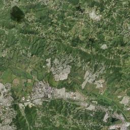 Gurabo Satellite Map