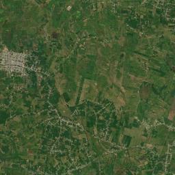 Miguel Hidalgo Satellite Map