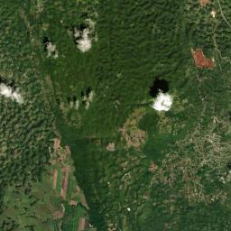 Ewarton Satellite Map
