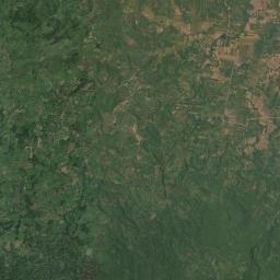 Flora Satellite Map