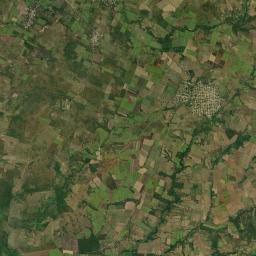 Corral Nuevo Satellite Map