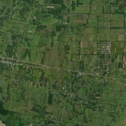 Palo Mulato Satellite Map