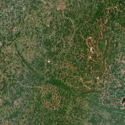 Ellen Street Satellite Map