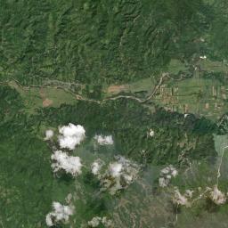 Pear Tree Satellite Map