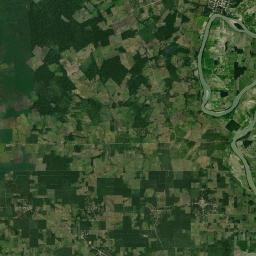 Flor de Cacao Satellite Map