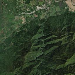 El Pino Satellite Map