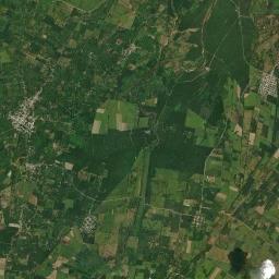 Hidalgo Satellite Map