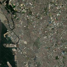 Del Monte Satellite Map