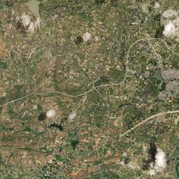 Palmaner Satellite Map