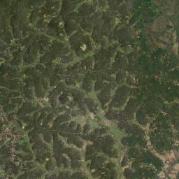 Ponnampet Satellite Map
