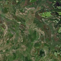 Remolino Satellite Map