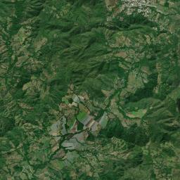Nicoya Satellite Map