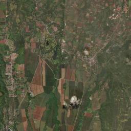 Manolo Fortich Satellite Map