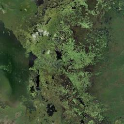 Badak Satellite Map